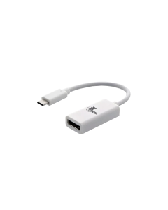 XTECH CONVERTIDOR TIPO C A DISPLAYPORT HEMBR XTC-555