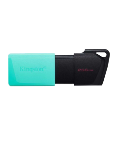 MEMORIA KINGSTON  USB 256GB VARIOS ESTILOS